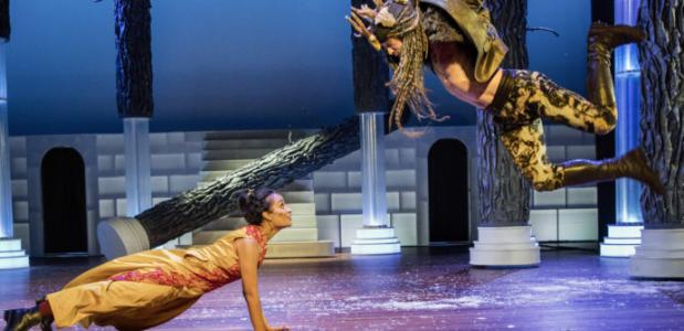 Beauty en het beest - Maas Theater en Dans